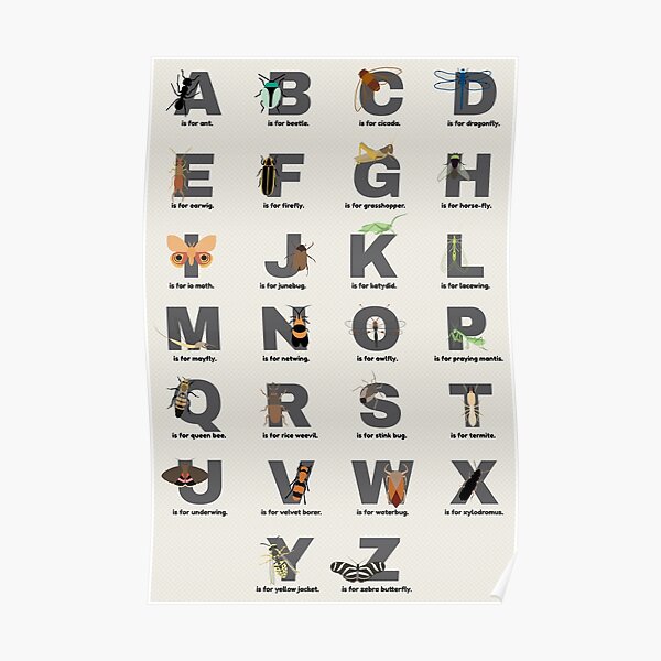 "Insect Alphabet" Poster For Sale By Babybigfoot | Redbubble