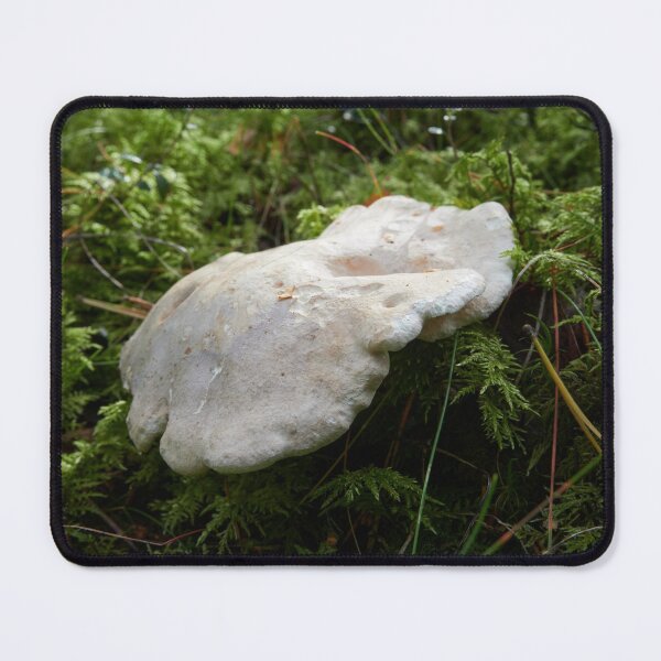 Item preview, The beautiful Sheep Polypore designed and sold by Jouko Lehto Photography.