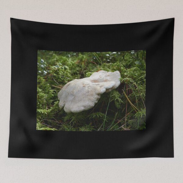 Item preview, The beautiful Sheep Polypore designed and sold by Jouko Lehto Photography.