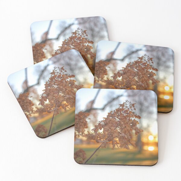 Item preview, Sunset in Autumn designed and sold by Alelmisira.