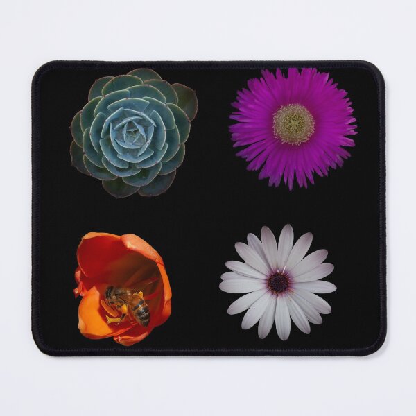 Item preview, Four Flowers designed and sold by AGDimages.