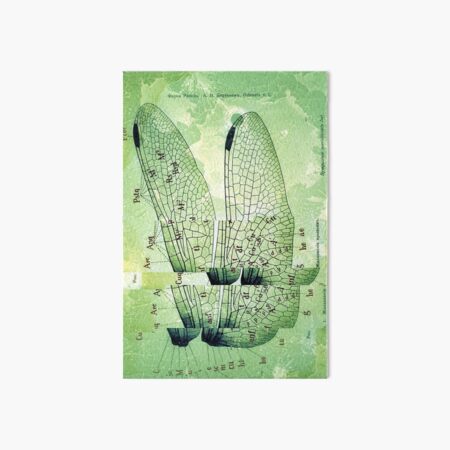 Dragonfly Wing Abstract Art Print Art Board Print