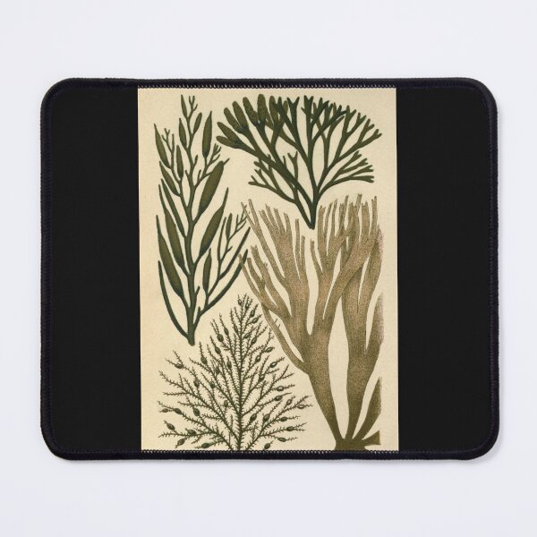 Item preview, Plants designed and sold by RALdesign.