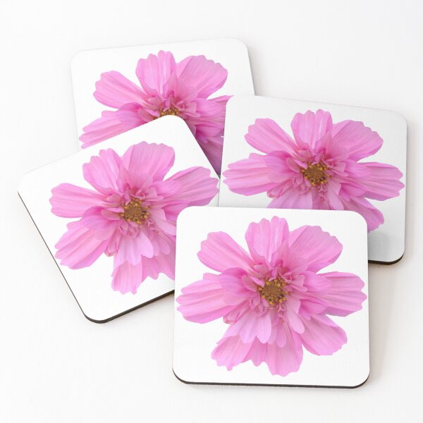 Item preview, Pink Cosmos Flower Still Life Floral Photography designed and sold by CottoVerdi.
