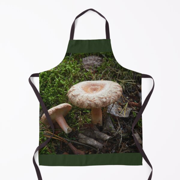 Item preview, A couple of Woolly milkcaps designed and sold by Jouko Lehto Photography.