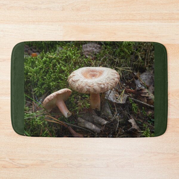 Item preview, A couple of Woolly milkcaps designed and sold by Jouko Lehto Photography.