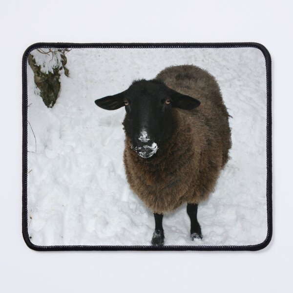 Item preview, Sheep in the snow Switzerland designed and sold by photoslot.