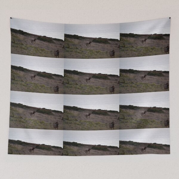 Item preview, Tule Elk  designed and sold by hitomimyhomie.