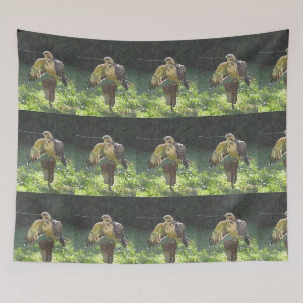 Item preview, Swainson's Hawk designed and sold by hitomimyhomie.