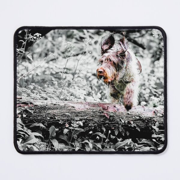 Item preview, Brown Roan Italian Spinone Dog in Action by heidiannemorris designed and sold by FOLK ART FUSION by heidiannemorris.