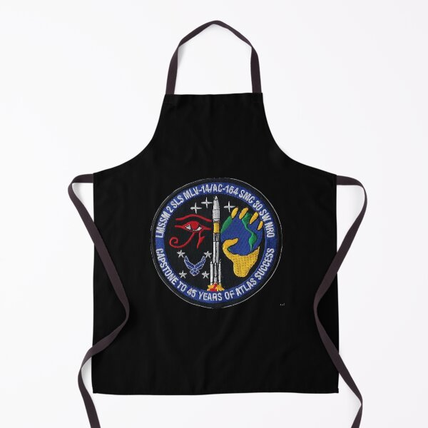 Item preview, 30th Space Wing and NRO logo designed and sold by audrinabab.