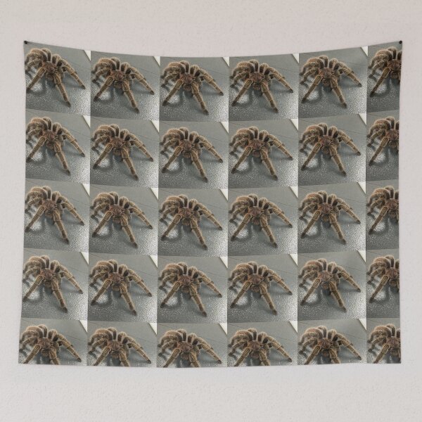 Item preview, Tarantula designed and sold by hitomimyhomie.