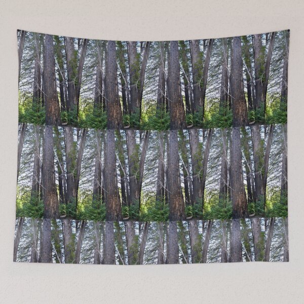 Item preview, Redwoods designed and sold by hitomimyhomie.