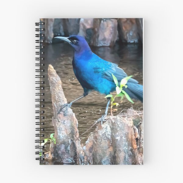 Item preview, Precarious Grackle designed and sold by Jeffrey Mask.