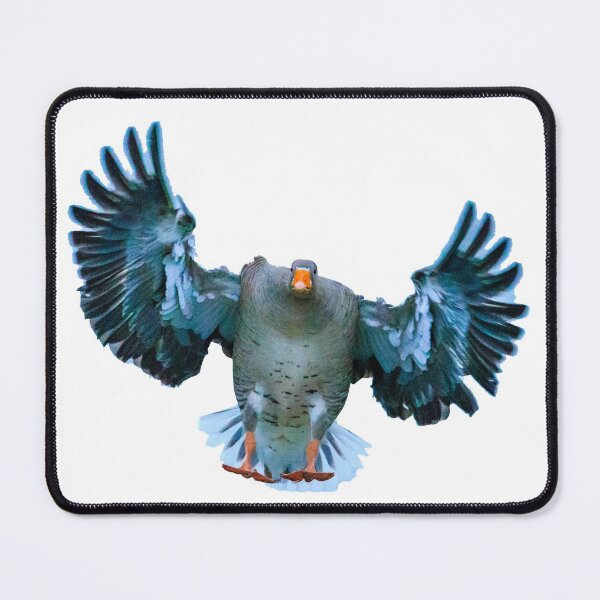 Item preview, Incoming Greylag designed and sold by Dalyndigital Photography.