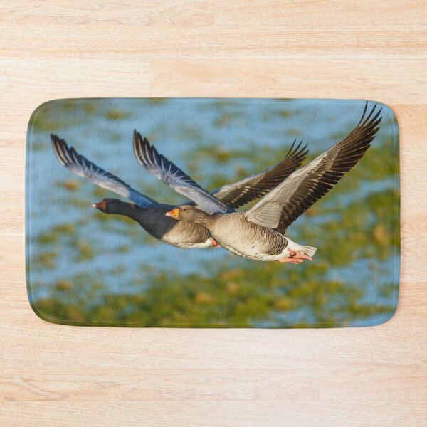 Item preview, Me and my Shadow goose designed and sold by Dalyndigital Photography.