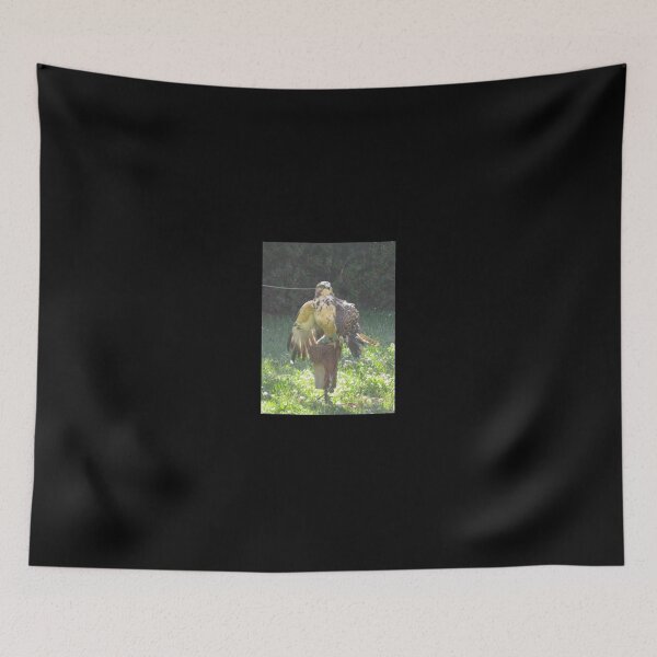 Item preview, pompous swainson's hawk designed and sold by hitomimyhomie.