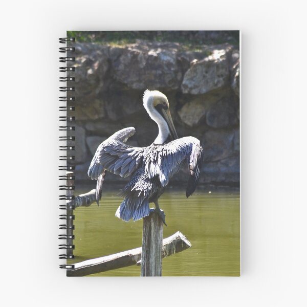 Item preview, Pelican Bay designed and sold by hitomimyhomie.