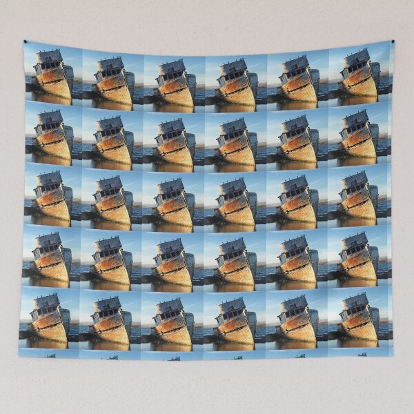 Item preview, Point Reyes shipwreck designed and sold by hitomimyhomie.