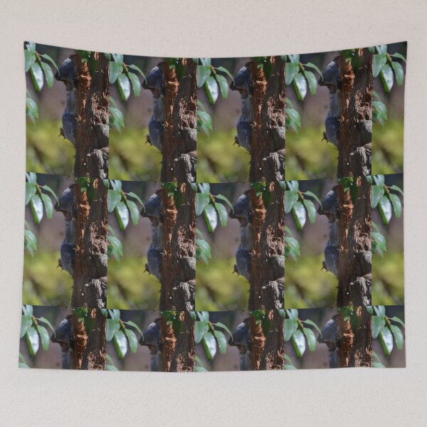 Item preview, Sleepy Koala designed and sold by hitomimyhomie.