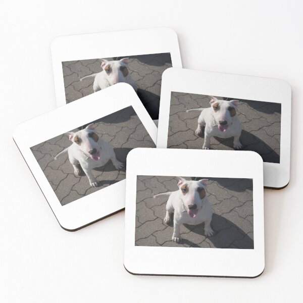 Item preview, Bull Terrier Greyhound Portrait - Staffordshire Bull Terrier Photo designed and sold by Zavola.