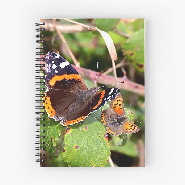 Item preview, Red Admiral and Small Copper designed and sold by John Thurgood.