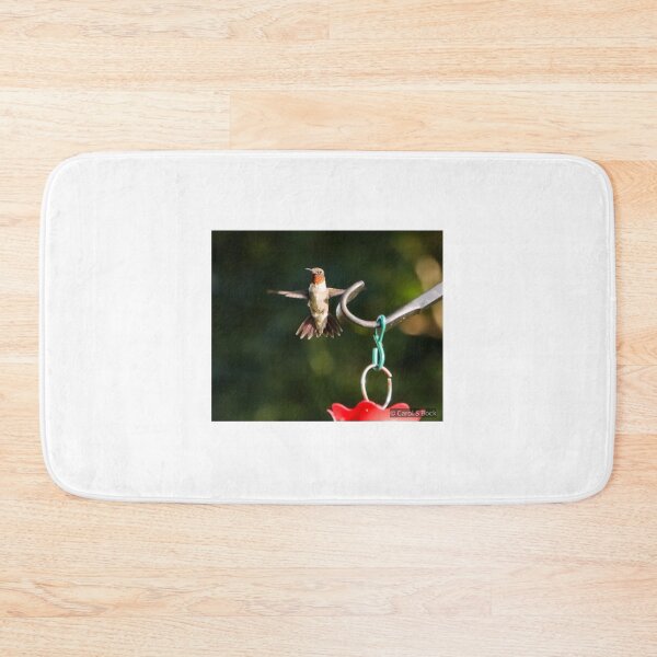 Item preview, Hanging On designed and sold by Carol Bock.