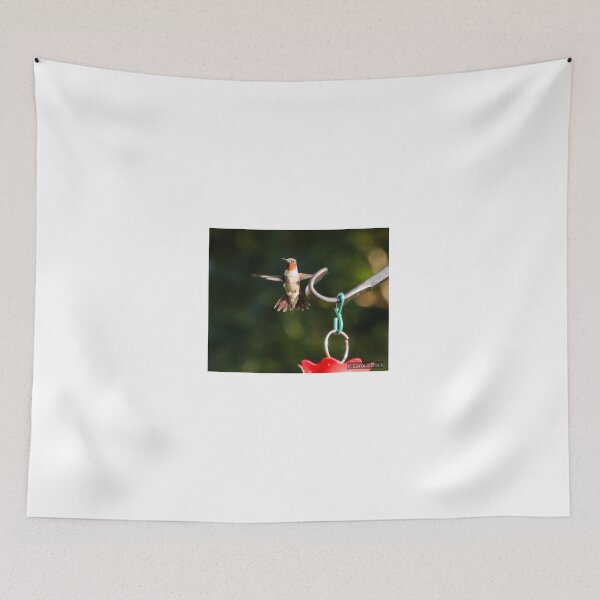 Item preview, Hanging On designed and sold by Carol Bock.