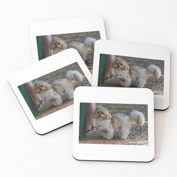 Item preview, Purebred Cachoro Domestic Pet designed and sold by Zavola.
