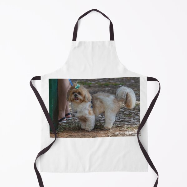 Item preview, Purebred Cachoro Domestic Pet designed and sold by Zavola.