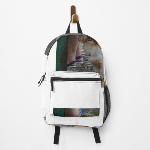 Item preview, Purebred Cachoro Domestic Pet designed and sold by Zavola.