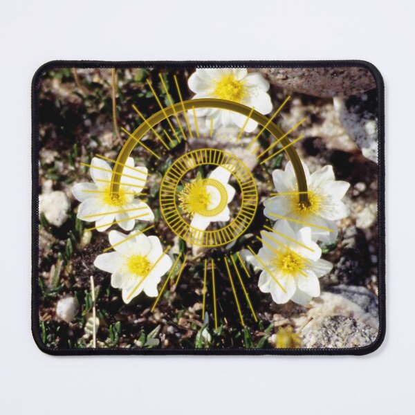 Item preview, virtual botany designed and sold by mintcrememocha.