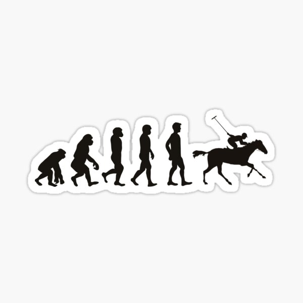 Evolution Of Arena Polo Players Funny Arena Polo Sticker For Sale By Amarnisomar Redbubble 