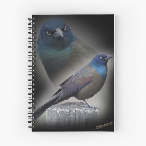 Item preview, Grackle Portrait - The Vicksburg Collection designed and sold by Sam Morrison.