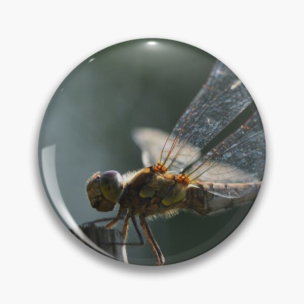 Item preview, Dragonfly in the urban garden designed and sold by wineandwords.
