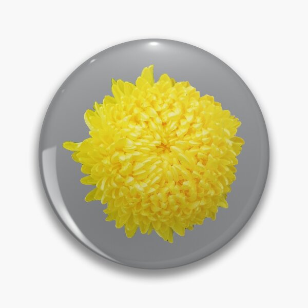 Item preview, Yellow Chrysanthemum Floral Photo Cutout designed and sold by ellenhenry.