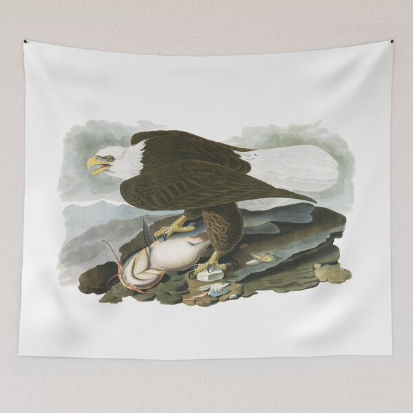 Item preview, Bald Eagle - John James Audubon  designed and sold by billythekidtees.