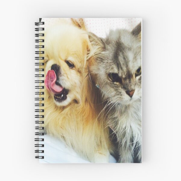 Artikelvorschau, Katze und Hund - Beste Freunde entworfen und verkauft von adrigert.