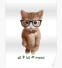 Algebra CAT Poster