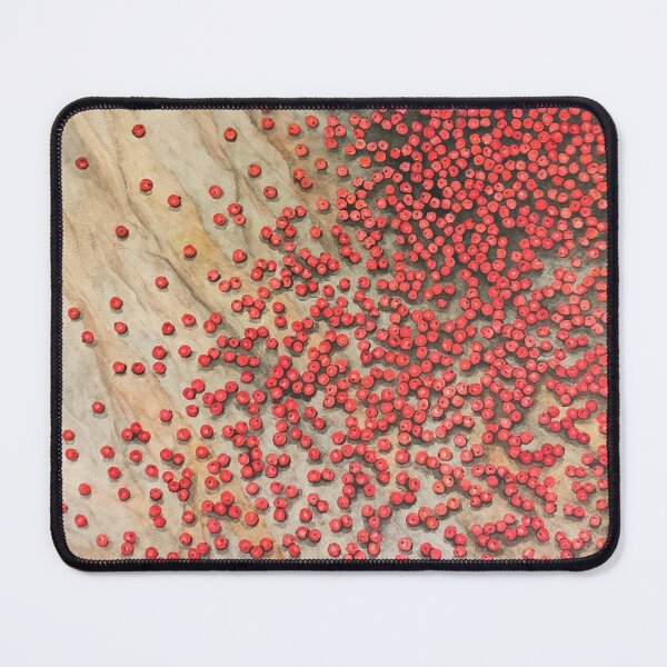Item preview, Watercolor still life: Redcurrants designed and sold by Delphine HIBOU.