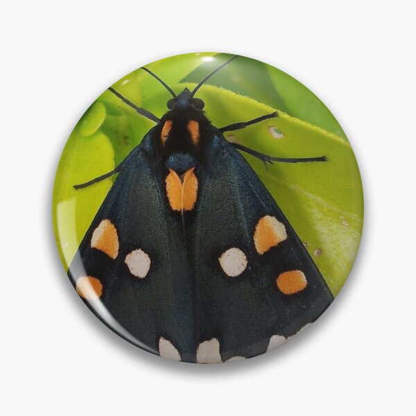 Artikelvorschau, Tiger Moth entworfen und verkauft von oilycake.