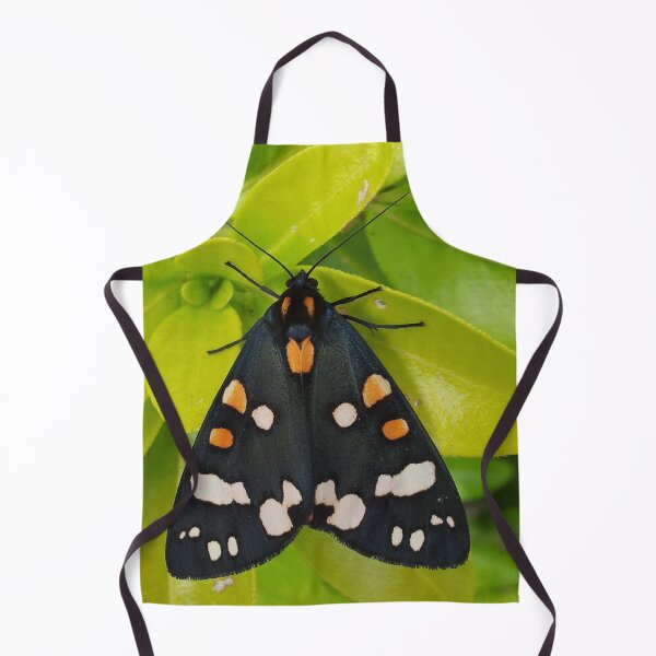 Item preview, Tiger Moth designed and sold by oilycake.