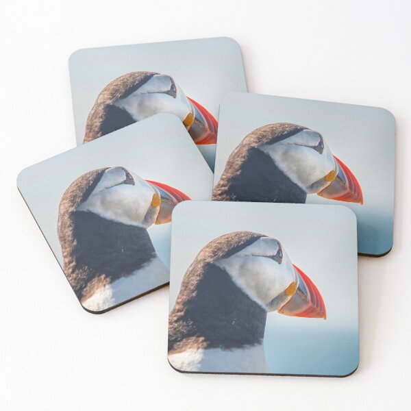 Item preview, Close up of Puffin  designed and sold by Photopat.