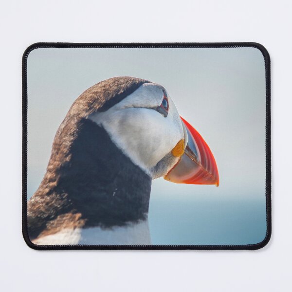 Item preview, Close up of Puffin  designed and sold by Photopat.