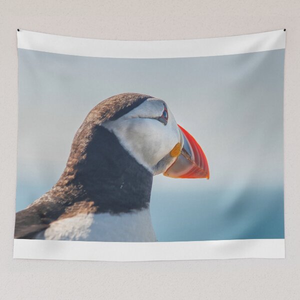 Item preview, Close up of Puffin  designed and sold by Photopat.