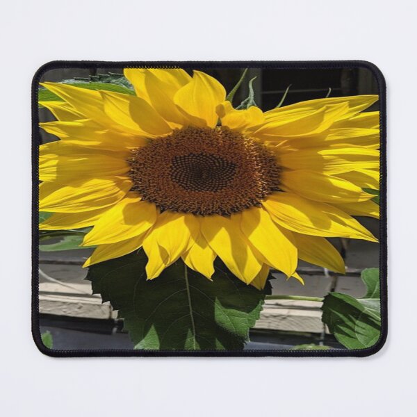 Item preview, Beautiful Day Sunflower designed and sold by Missy69.
