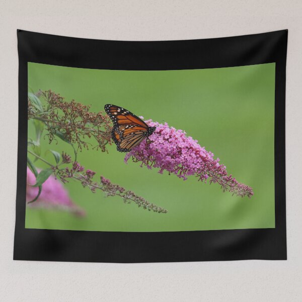 Item preview, Butterfly Beauty designed and sold by LisaNaturePhoto.