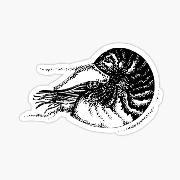 Nautile Sticker