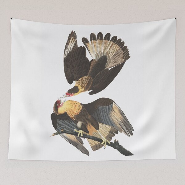 Item preview, Caracara Eagle - John James Audubon  designed and sold by billythekidtees.