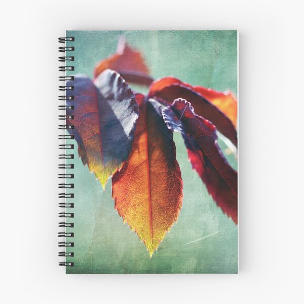 Item preview, Autumn Glow designed and sold by ASTRID EWING.